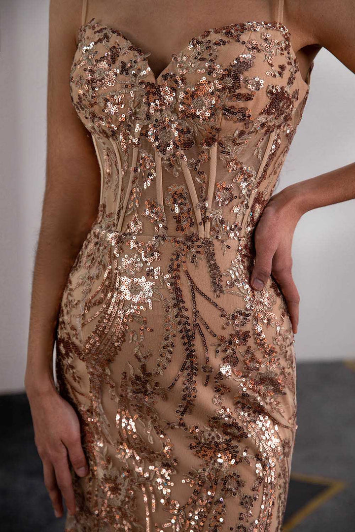 Champagne Prom Dress with Sheer Corset Bodice